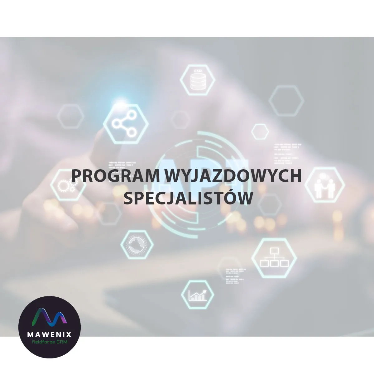 Program wyjazdowych specjalistów