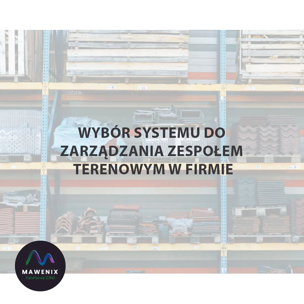  Wybór systemu do zarządzania zespołem terenowym w firmie-dystrybutorze materiałów budowlanych