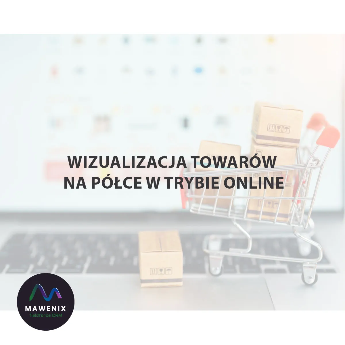 Wizualizacja towarów na półce w trybie online