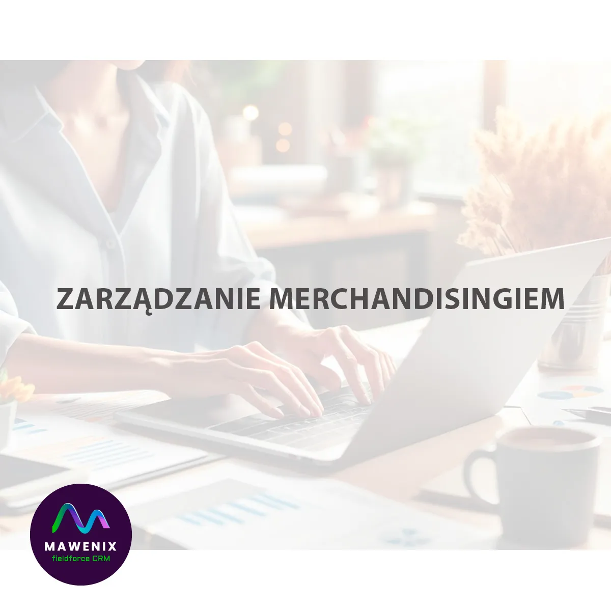  Zarządzanie merchandisingiem