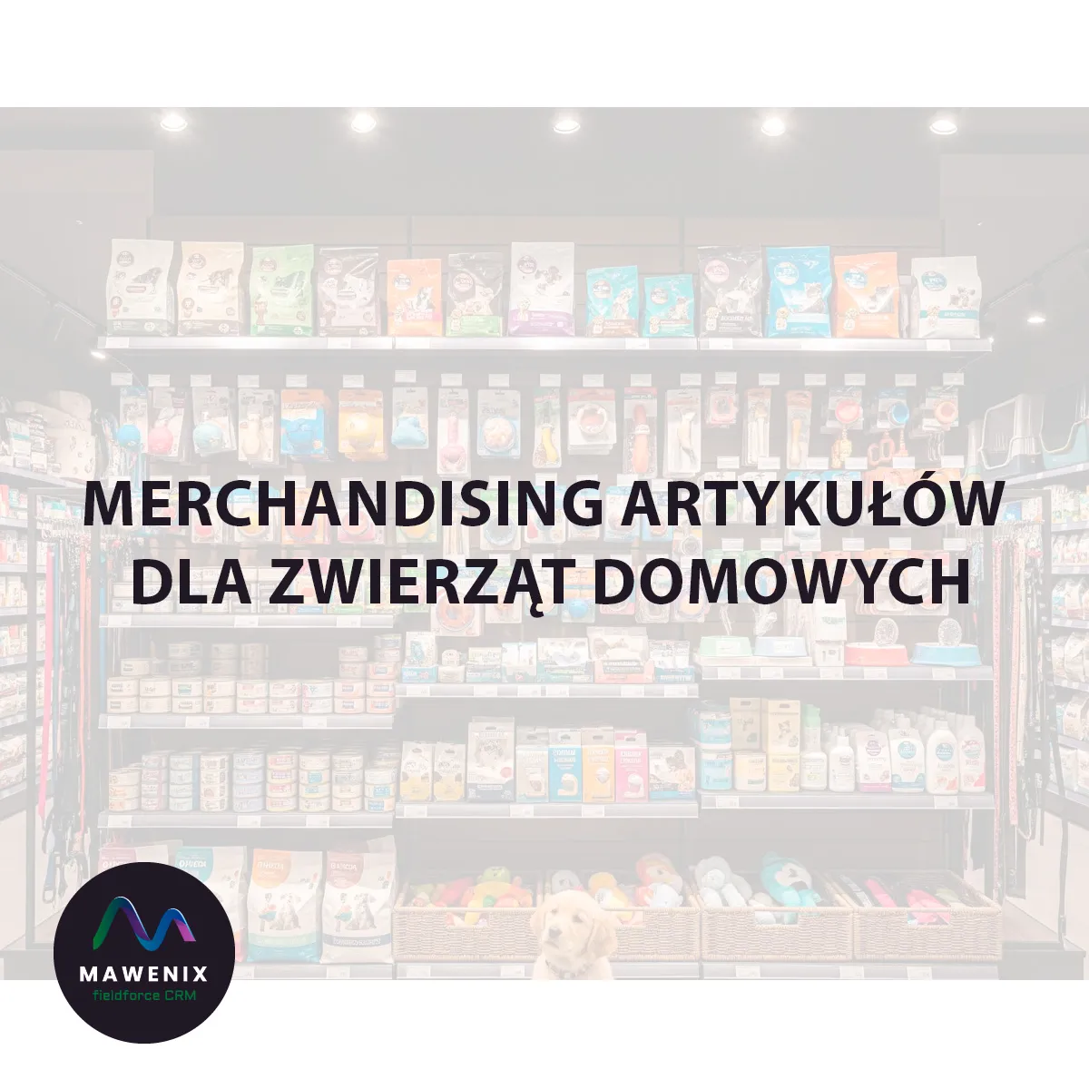 Merchandising Artykułów dla Zwierząt Domowych: Sprzedawaj Sercem, z Myślą o Futrzanych Przyjaciołach
