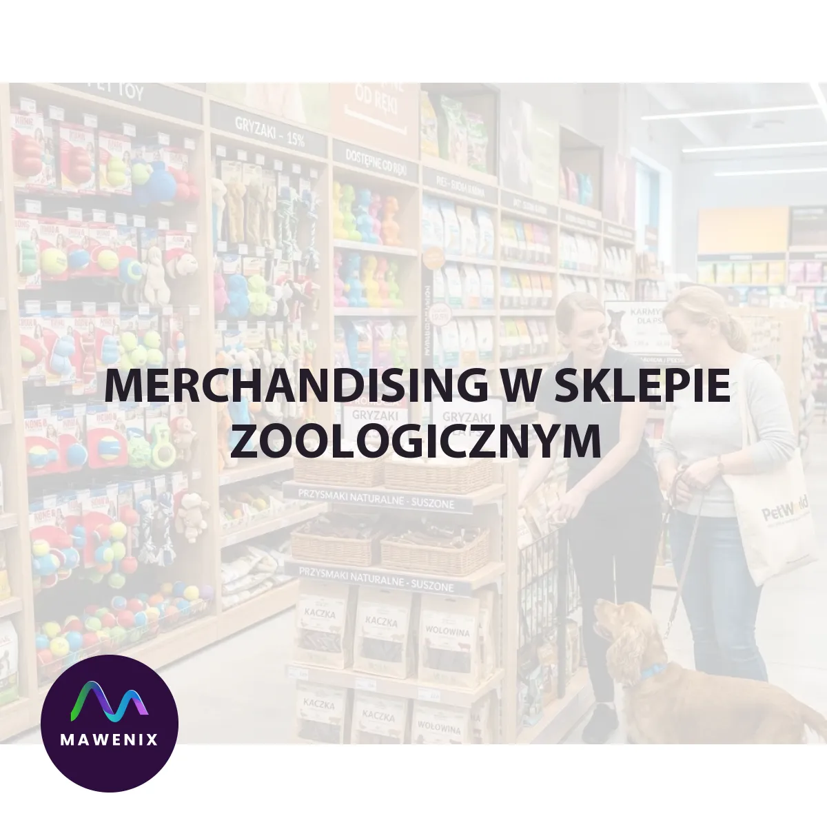 Merchandising w sklepie zoologicznym: Jak sprzedawać emocje właścicielom pupili?