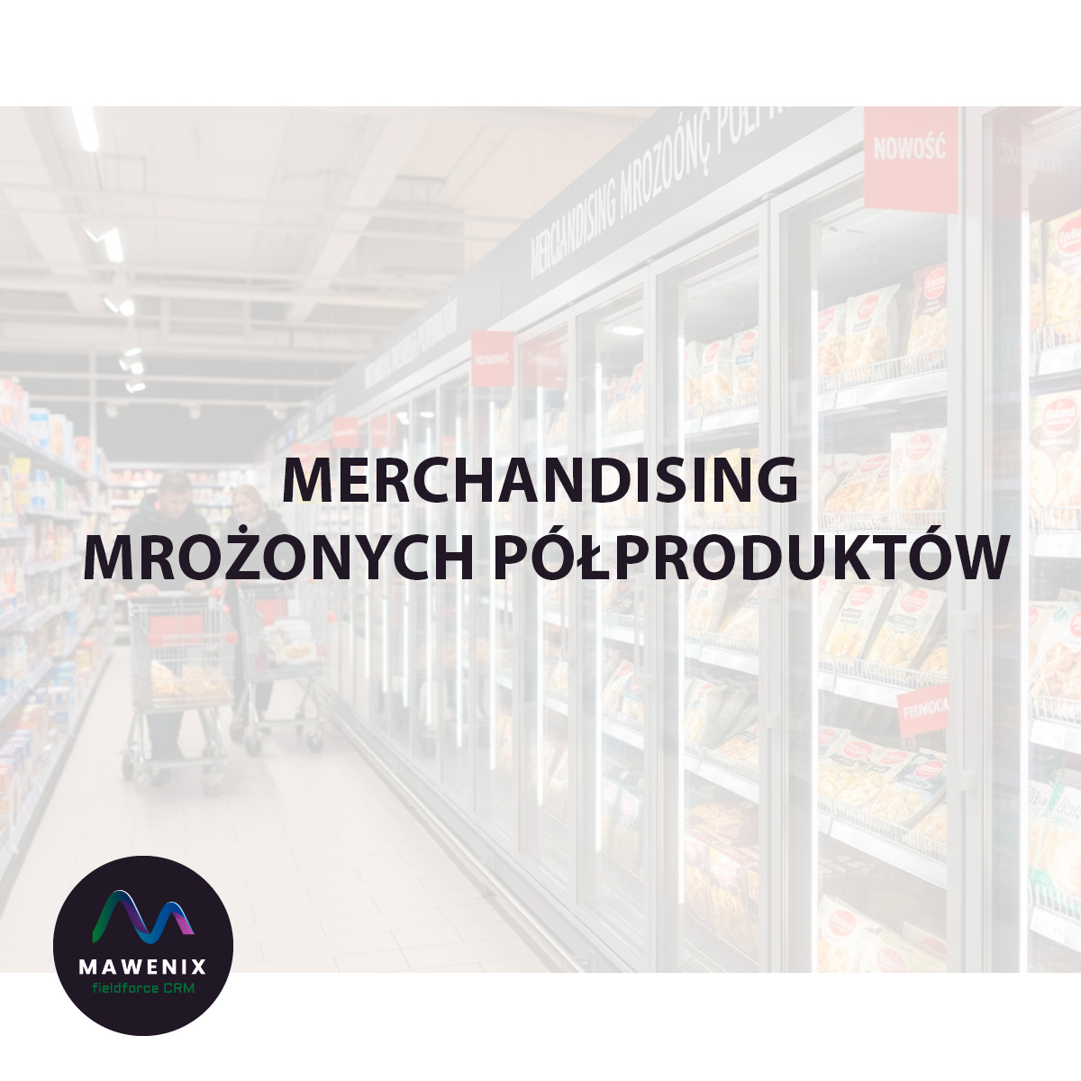 Merchandising Mrożonych Półproduktów