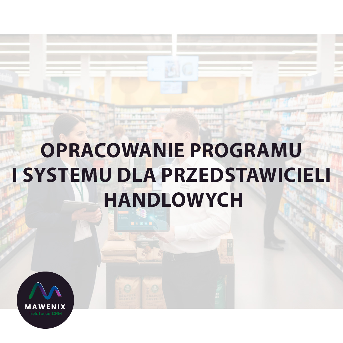 Opracowanie programu i systemu dla przedstawicieli handlowych