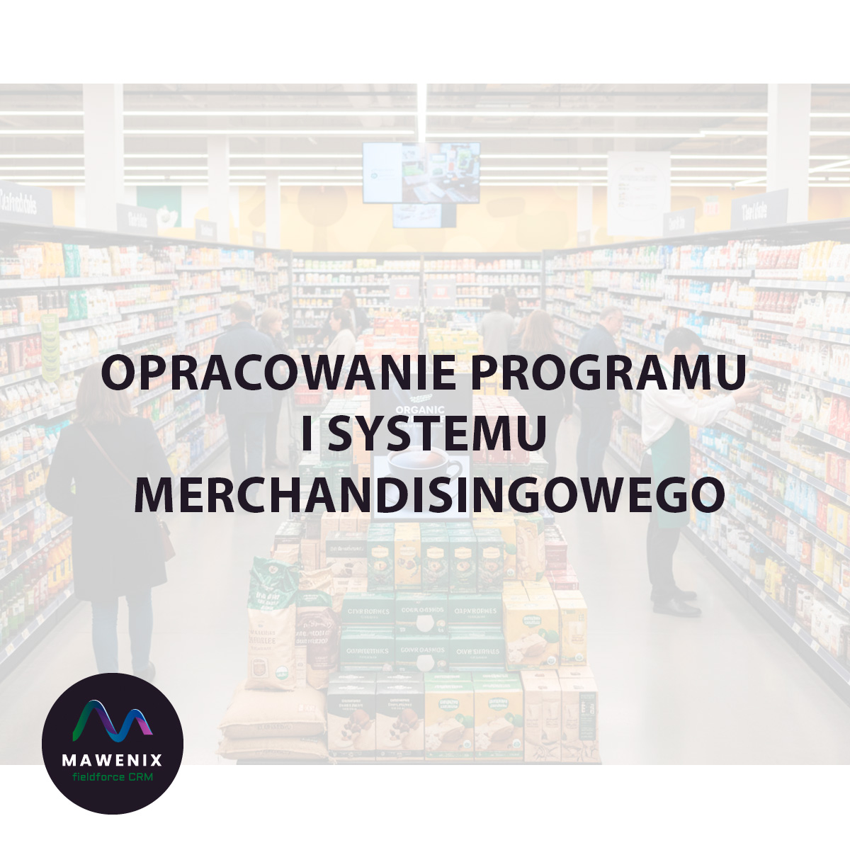 Opracowanie programu i systemu merchandisingowego