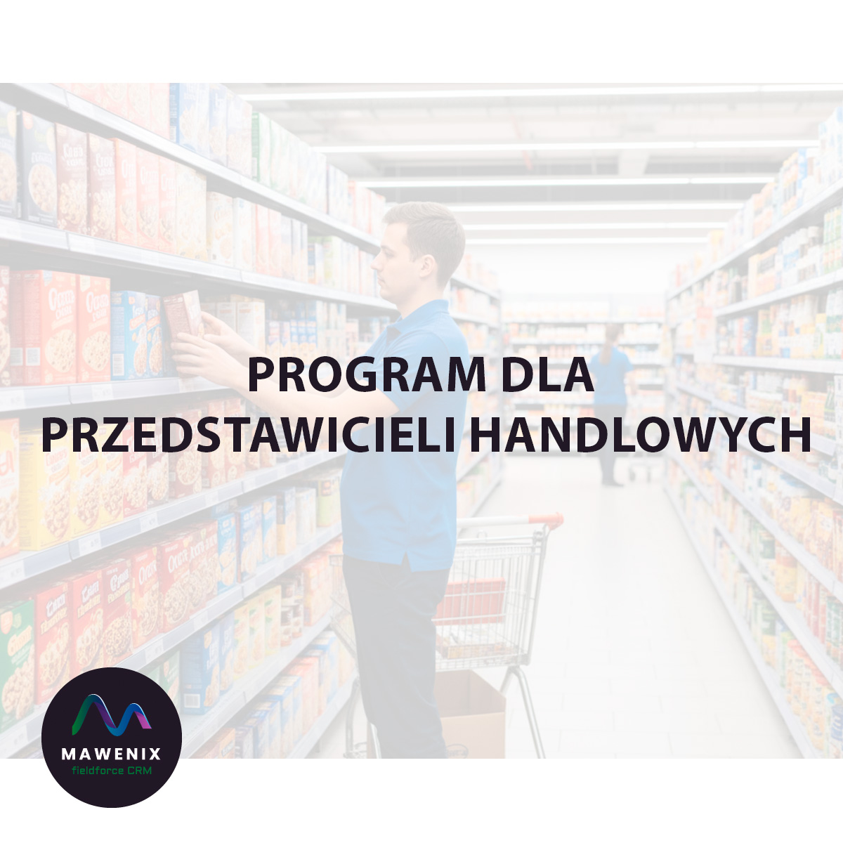 Program dla Przedstawicieli Handlowych: Cyfrowe Serce Mobilnej Sprzedaży