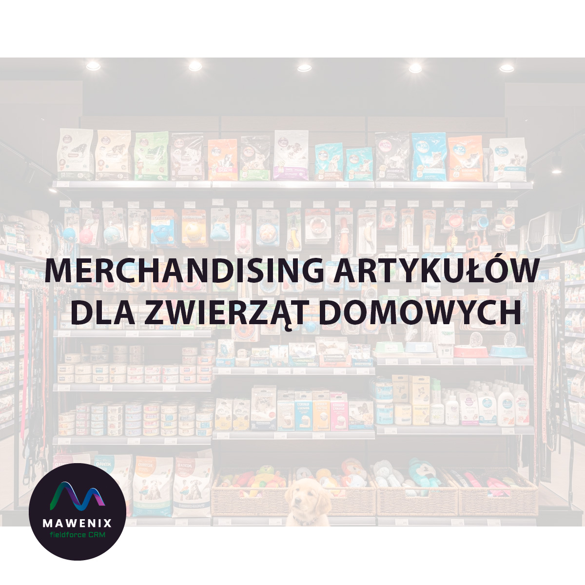 Merchandising Artykułów dla Zwierząt Domowych: Sprzedawaj Sercem, z Myślą o Futrzanych Przyjaciołach